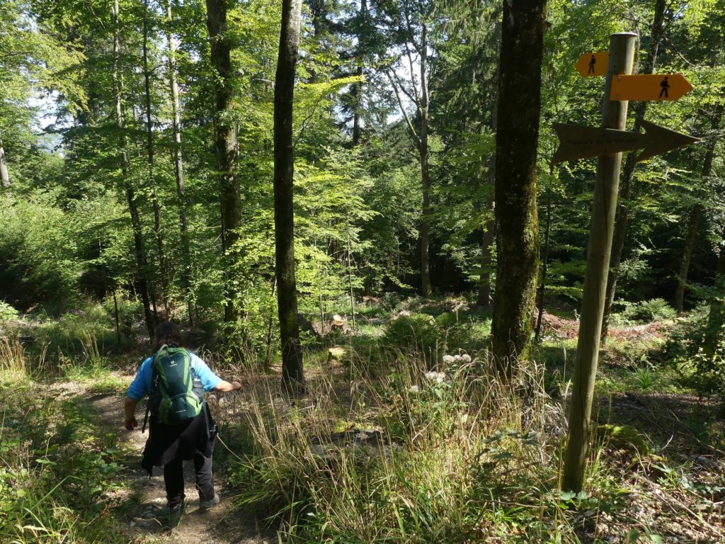 le-soliat-boudry-praz-231