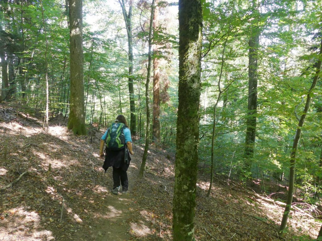 le-soliat-boudry-praz-233
