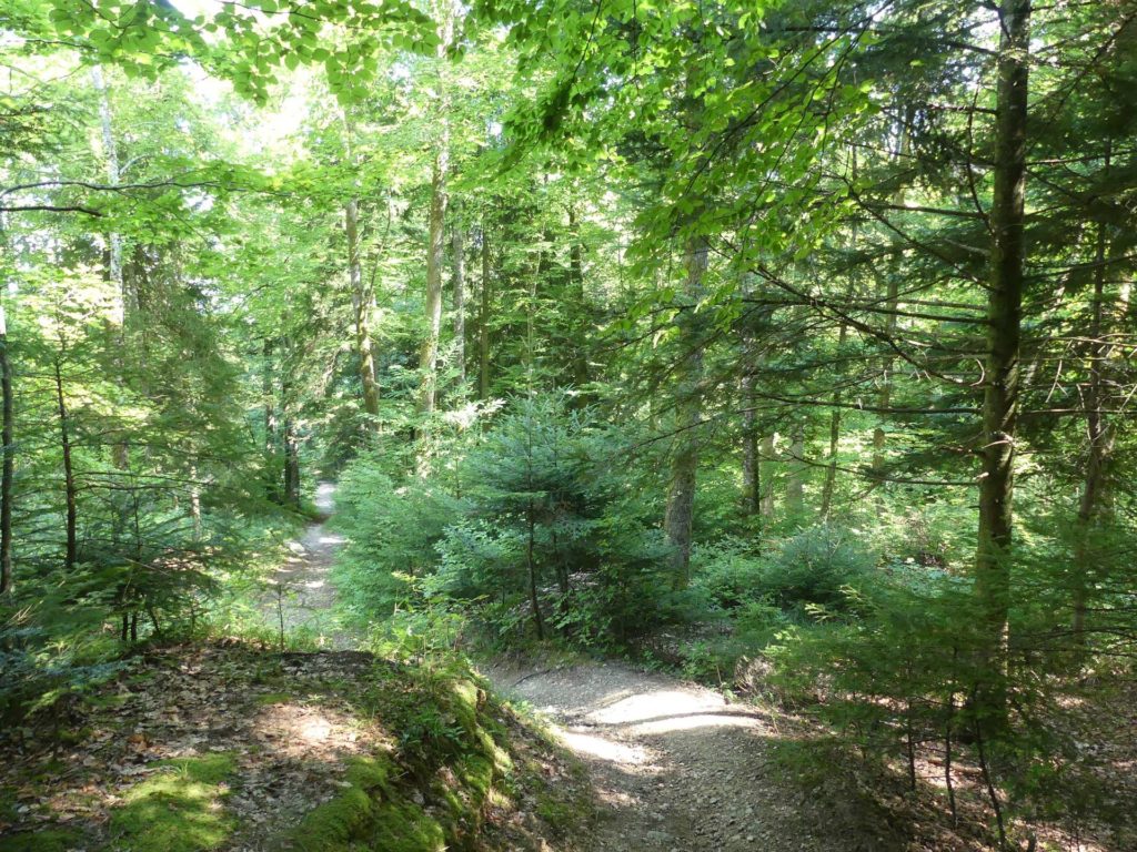 le-soliat-boudry-praz-235