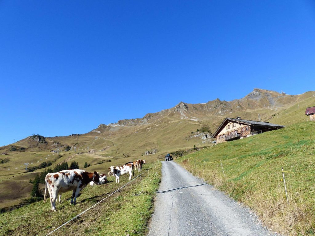 les-crosets-portes-du-soleil-morgins-103