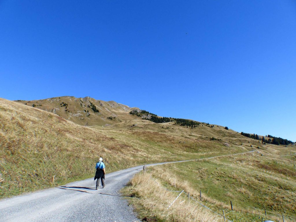 les-crosets-portes-du-soleil-morgins-106