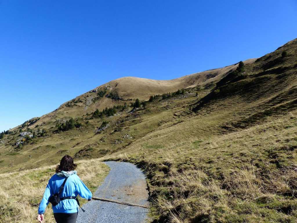 les-crosets-portes-du-soleil-morgins-117