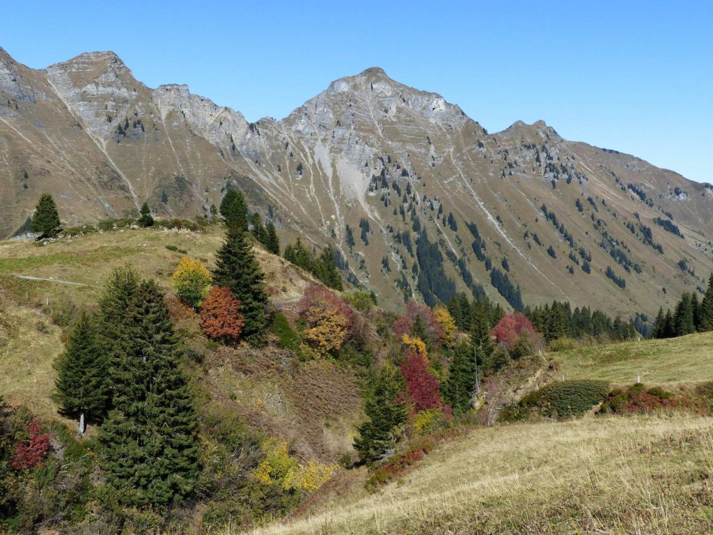 les-crosets-portes-du-soleil-morgins-118