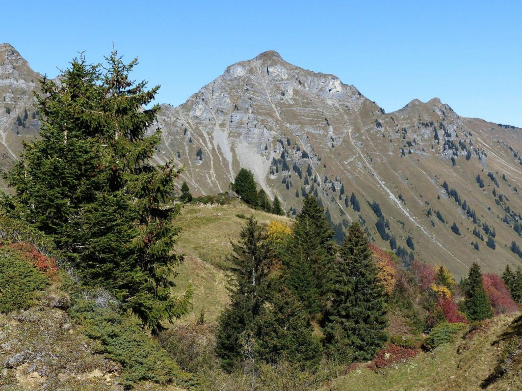 les-crosets-portes-du-soleil-morgins-119