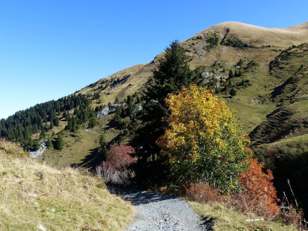 les-crosets-portes-du-soleil-morgins-120