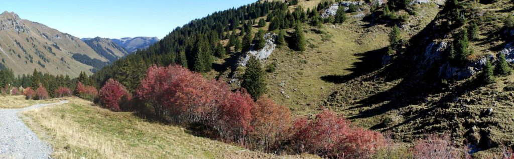 les-crosets-portes-du-soleil-morgins-122