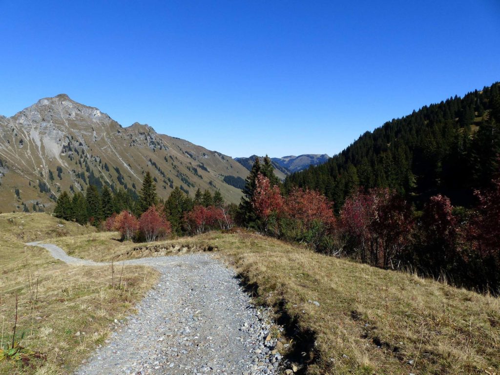 les-crosets-portes-du-soleil-morgins-123