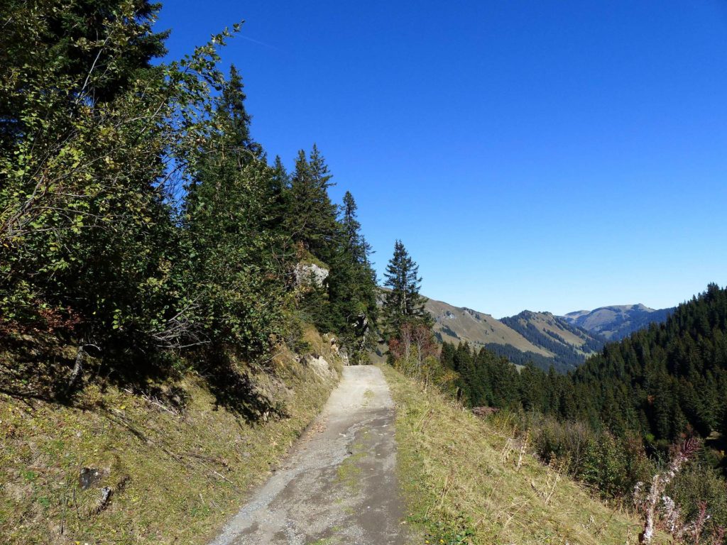 les-crosets-portes-du-soleil-morgins-125