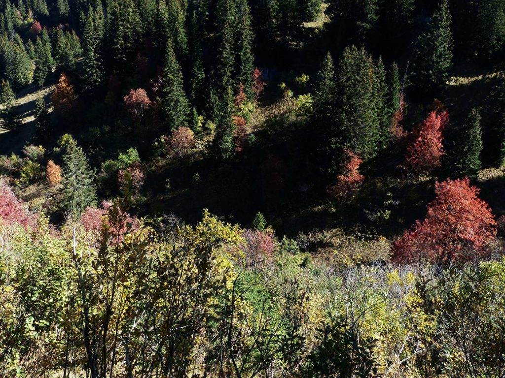 les-crosets-portes-du-soleil-morgins-128