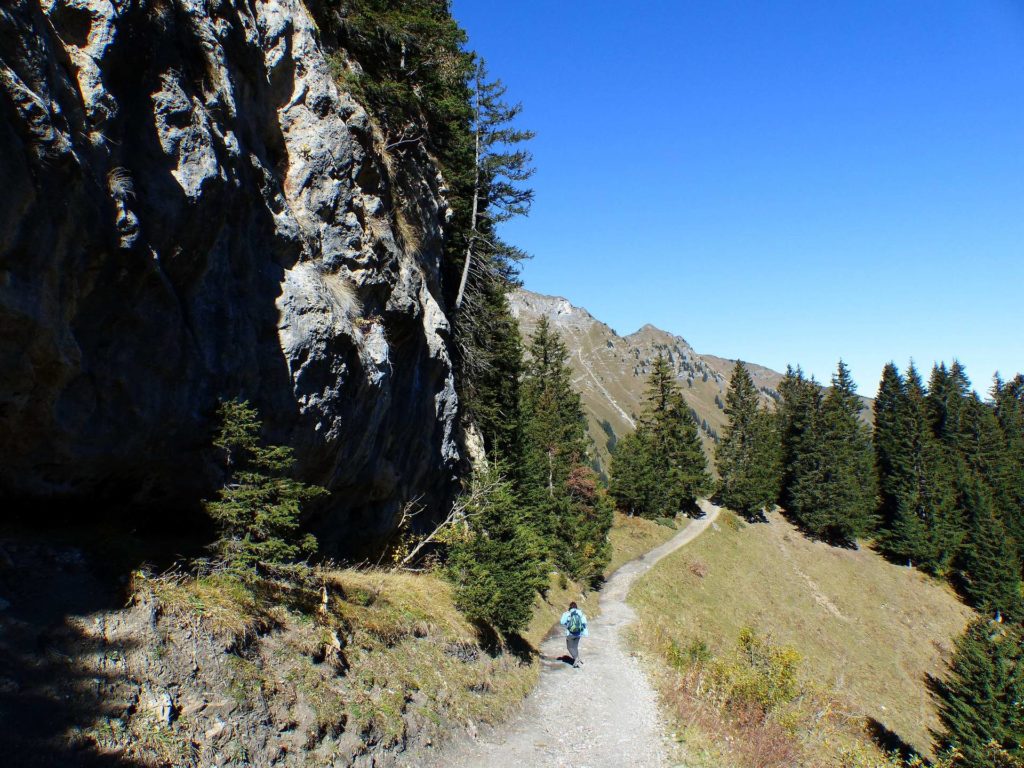 les-crosets-portes-du-soleil-morgins-130
