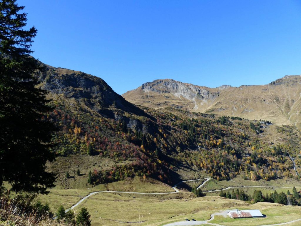 les-crosets-portes-du-soleil-morgins-133
