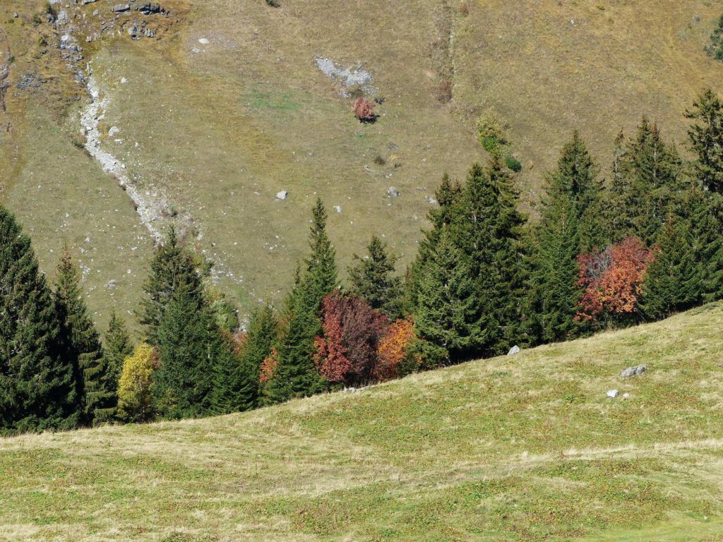 les-crosets-portes-du-soleil-morgins-136