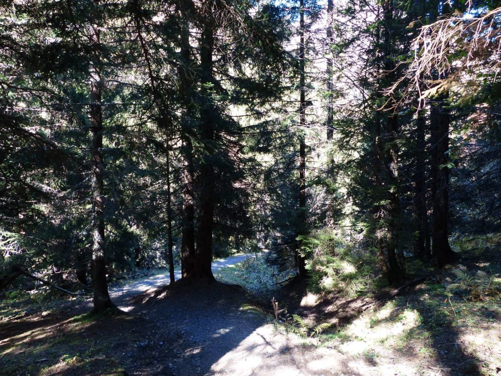 les-crosets-portes-du-soleil-morgins-141