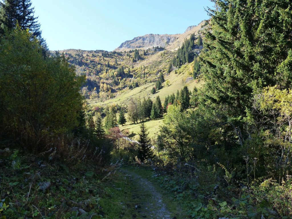 les-crosets-portes-du-soleil-morgins-142