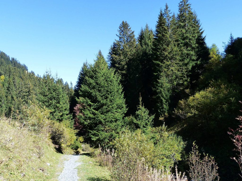 les-crosets-portes-du-soleil-morgins-144