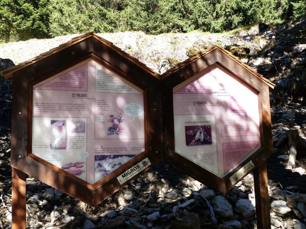 les-crosets-portes-du-soleil-morgins-145