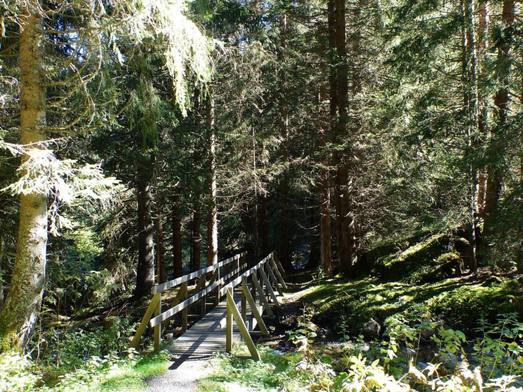 les-crosets-portes-du-soleil-morgins-146