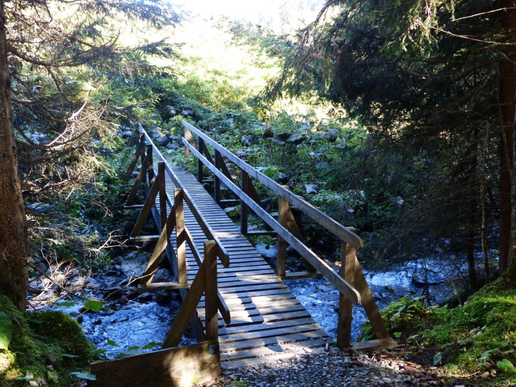 les-crosets-portes-du-soleil-morgins-147