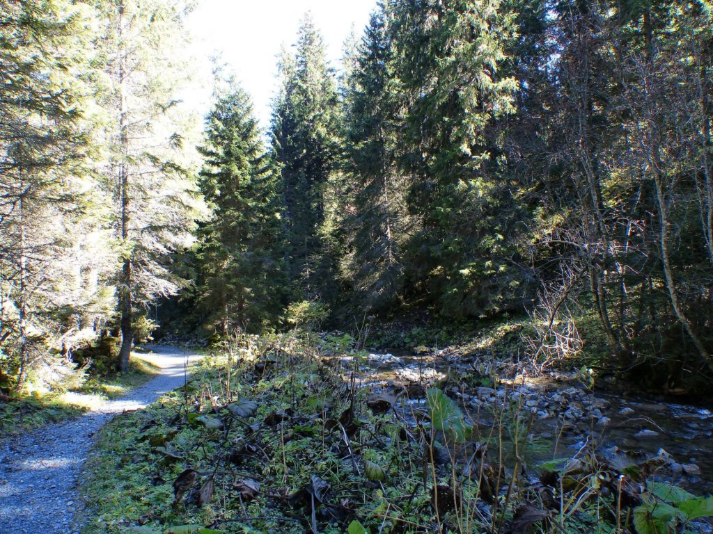 les-crosets-portes-du-soleil-morgins-149