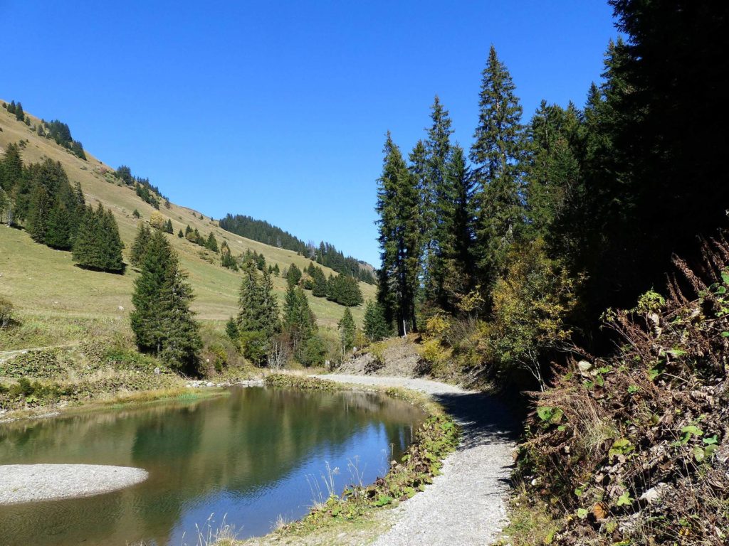 les-crosets-portes-du-soleil-morgins-155