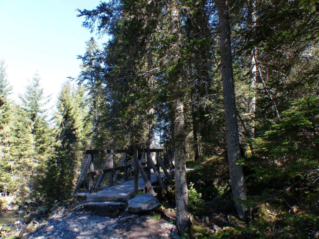les-crosets-portes-du-soleil-morgins-156