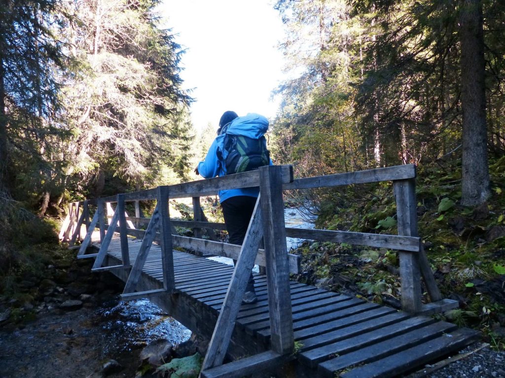 les-crosets-portes-du-soleil-morgins-158