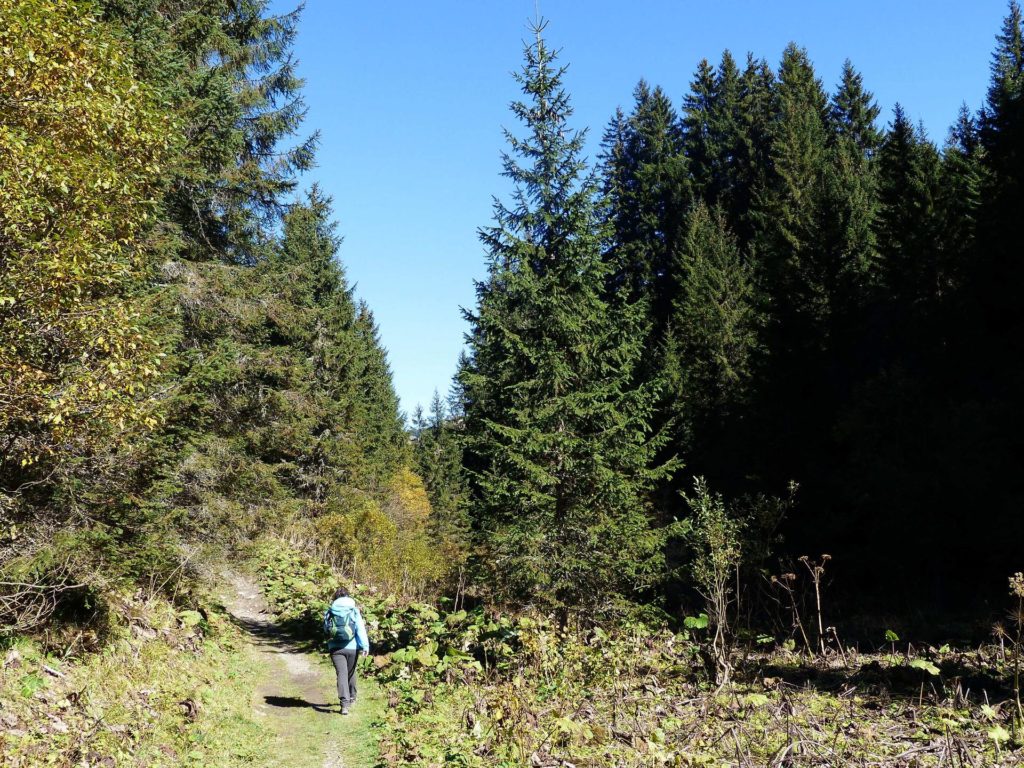 les-crosets-portes-du-soleil-morgins-160
