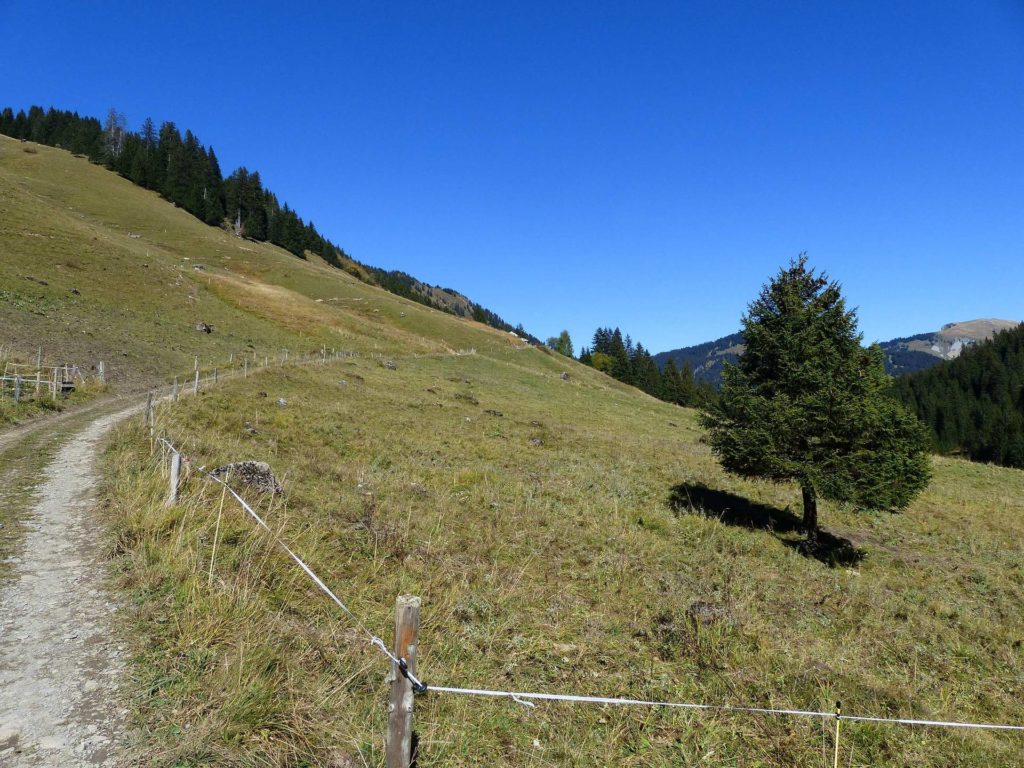 les-crosets-portes-du-soleil-morgins-161