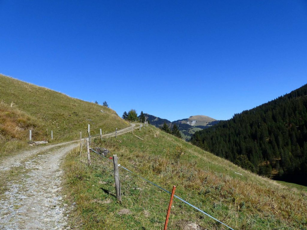 les-crosets-portes-du-soleil-morgins-162