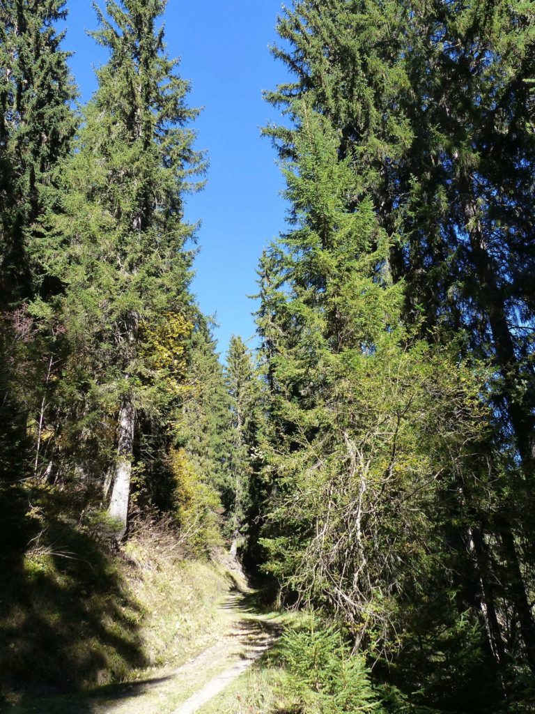 les-crosets-portes-du-soleil-morgins-167