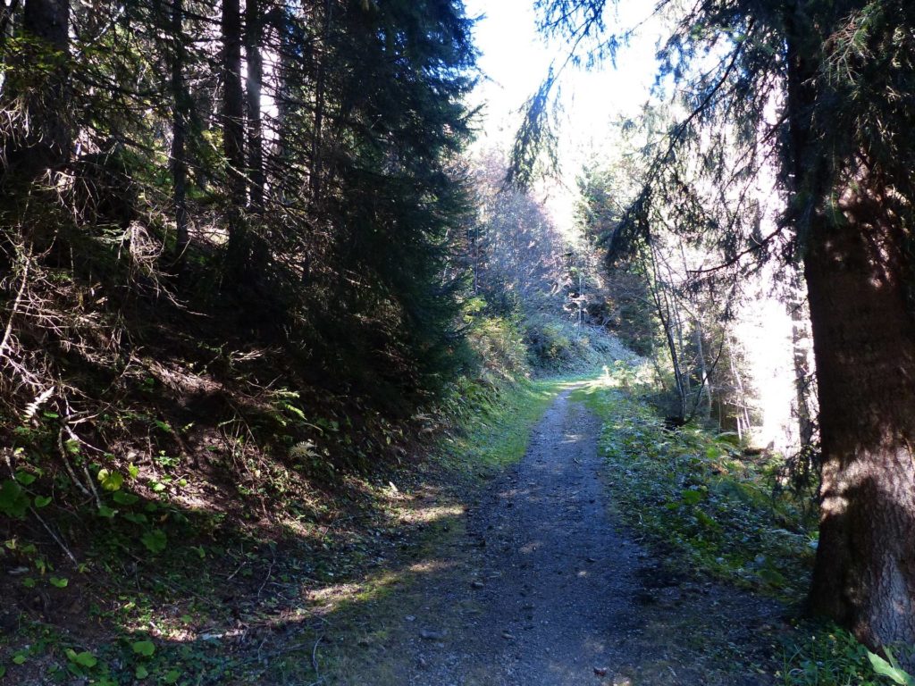 les-crosets-portes-du-soleil-morgins-168