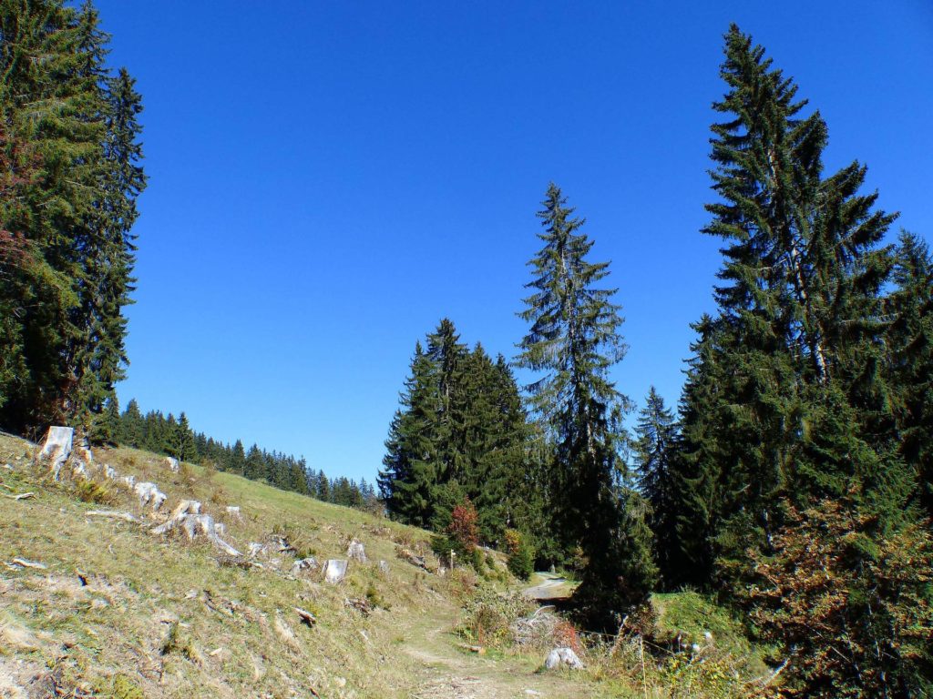 les-crosets-portes-du-soleil-morgins-174