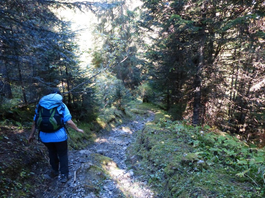 les-crosets-portes-du-soleil-morgins-178