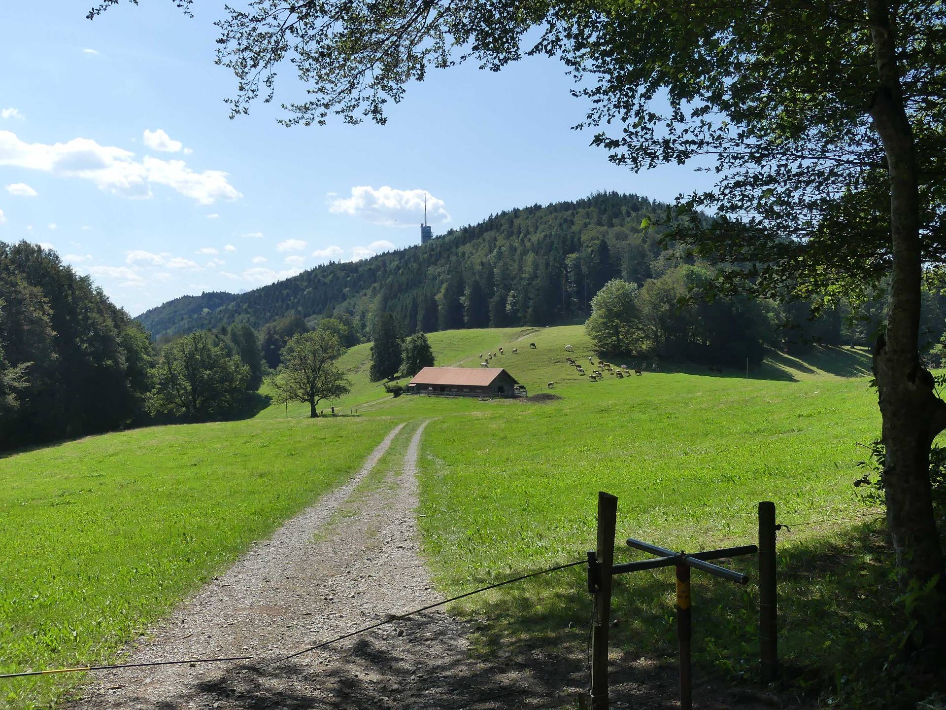 Moreillon - Mont-Pèlerin