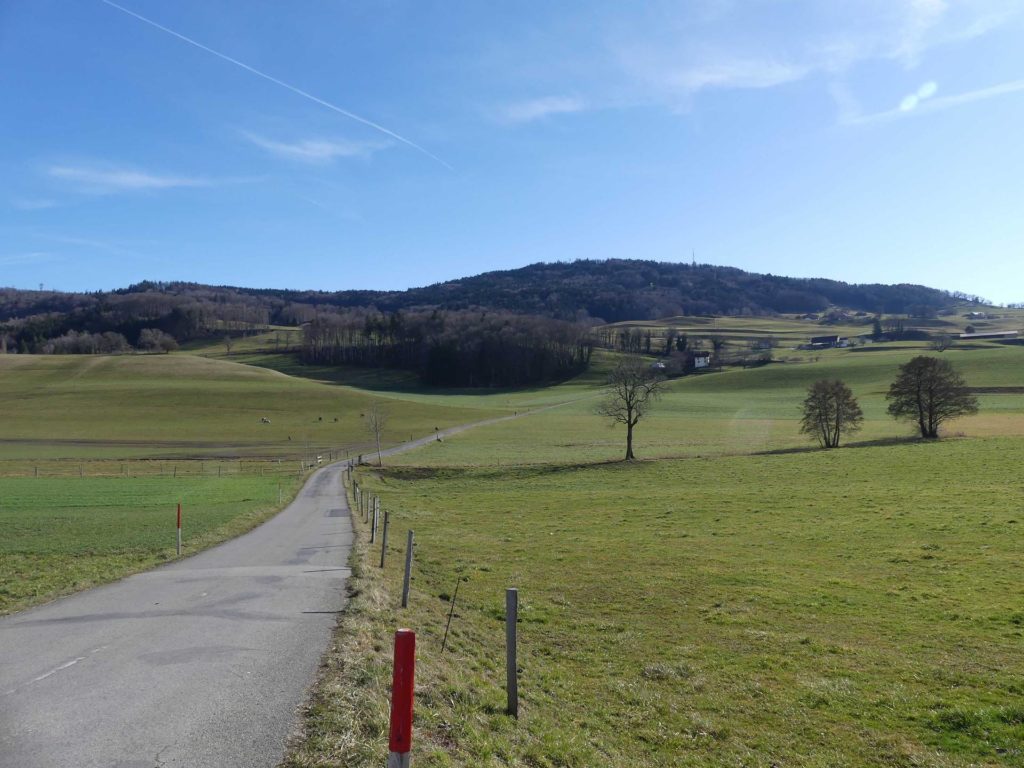 moreillon-paully-mont-pelerin-100