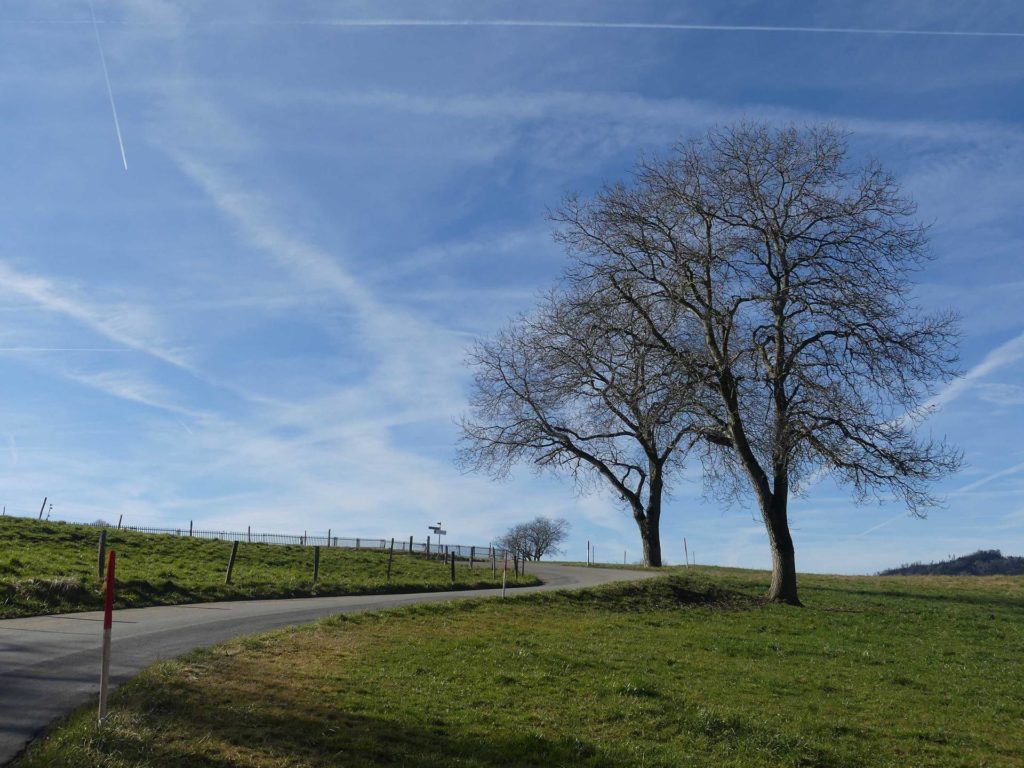 moreillon-paully-mont-pelerin-106