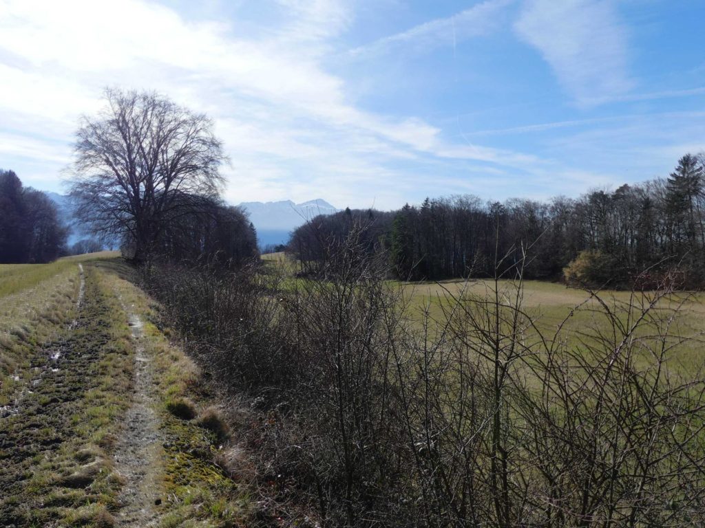 moreillon-paully-mont-pelerin-124