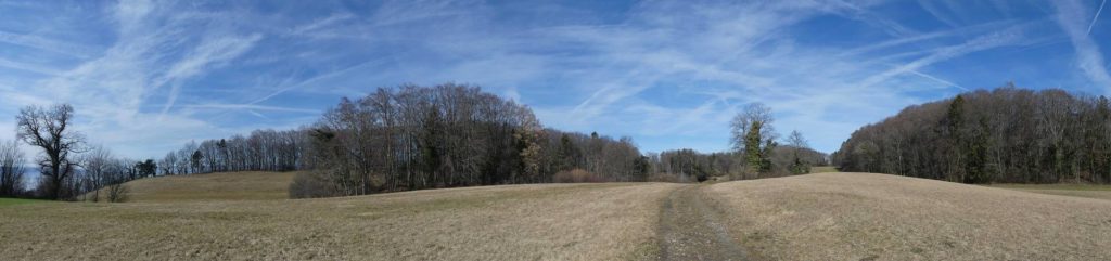moreillon-paully-mont-pelerin-131
