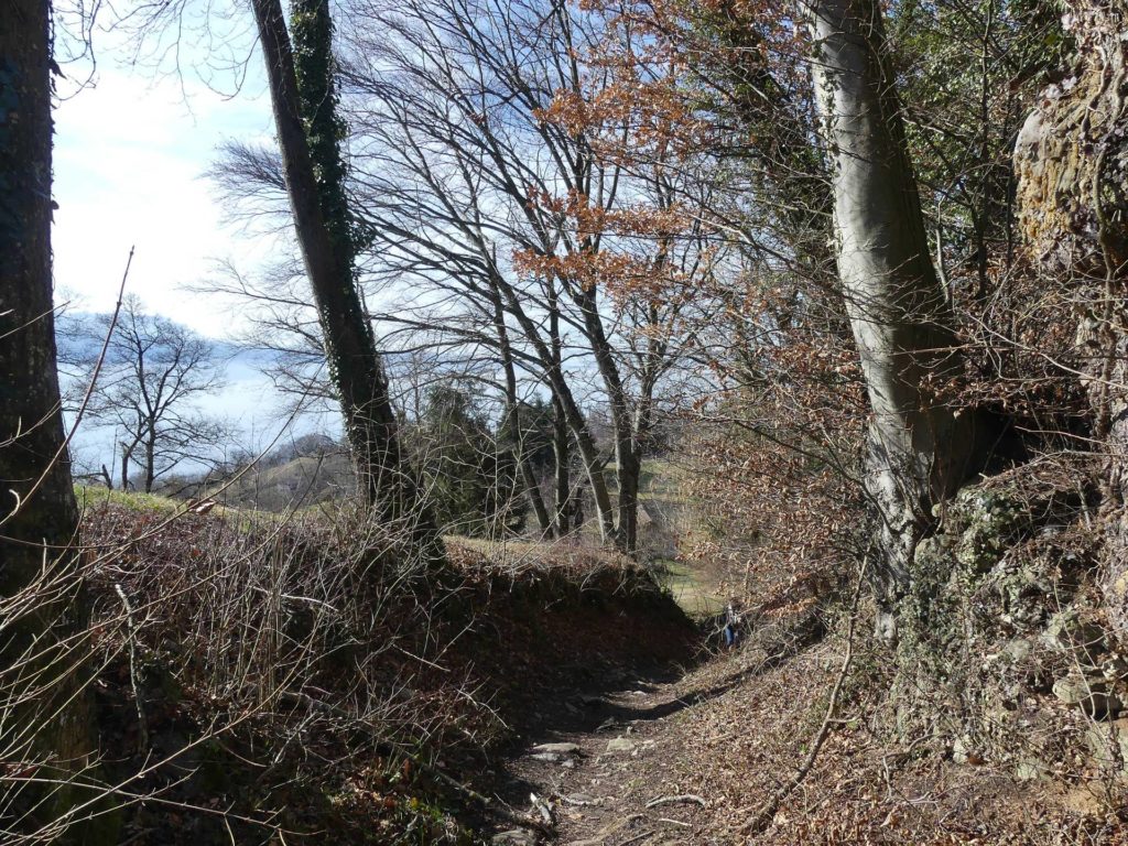 moreillon-paully-mont-pelerin-138