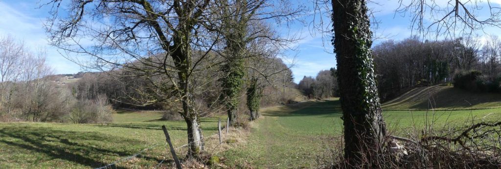 moreillon-paully-mont-pelerin-139
