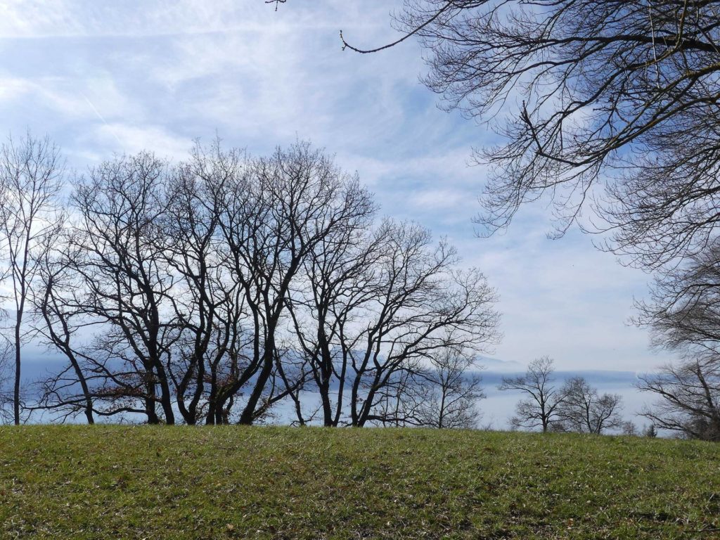 moreillon-paully-mont-pelerin-140