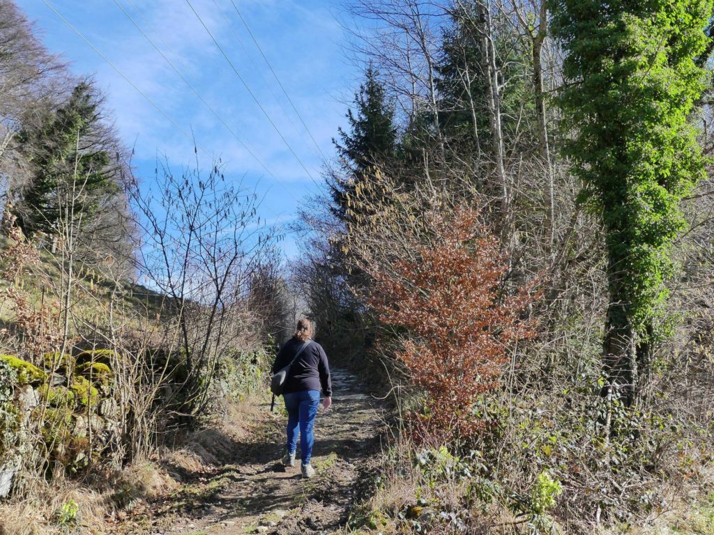 moreillon-paully-mont-pelerin-144