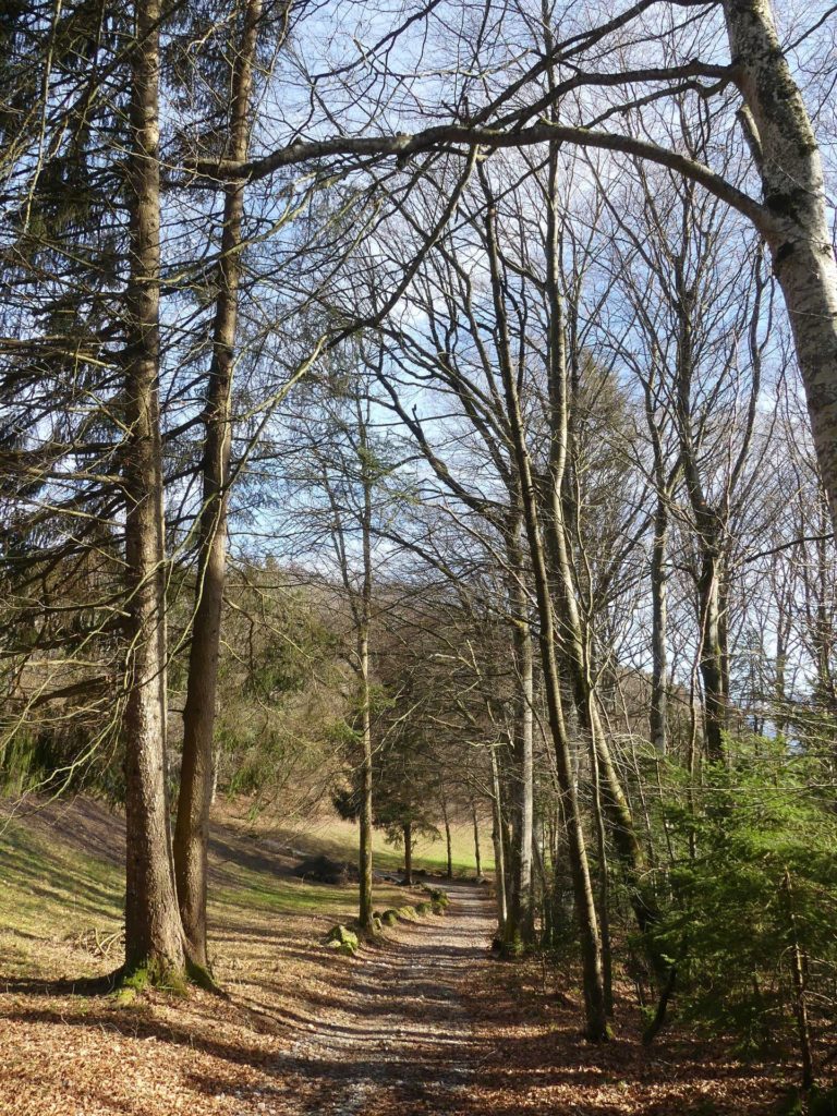 moreillon-paully-mont-pelerin-148