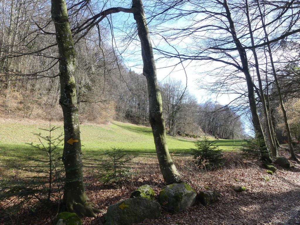 moreillon-paully-mont-pelerin-149