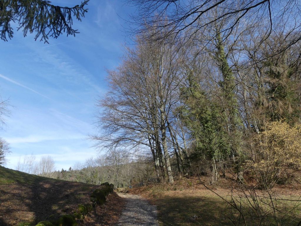 moreillon-paully-mont-pelerin-150