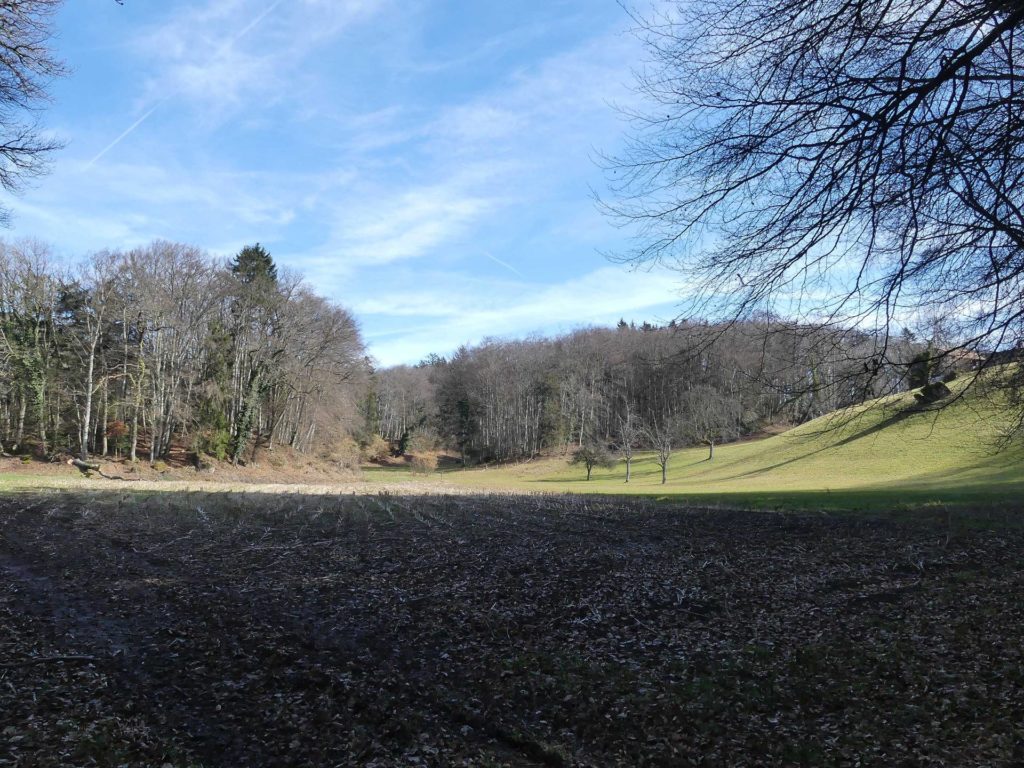 moreillon-paully-mont-pelerin-158