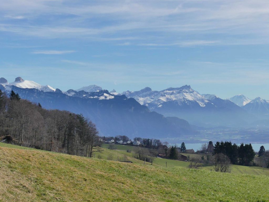moreillon-paully-mont-pelerin-187