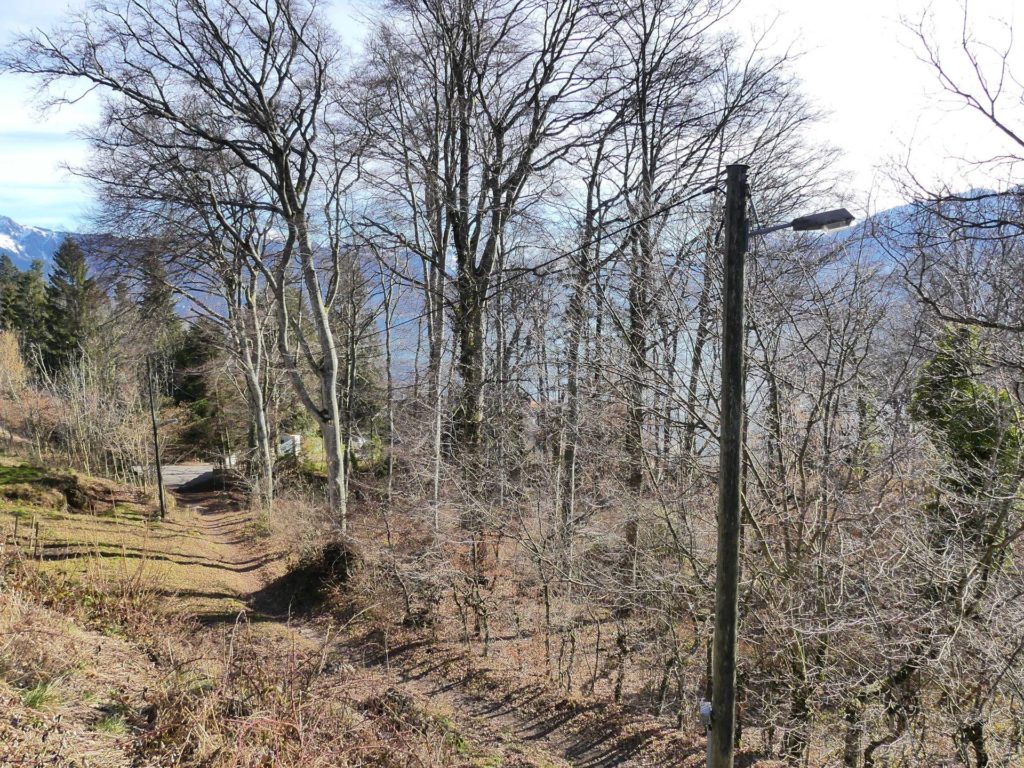 moreillon-paully-mont-pelerin-203