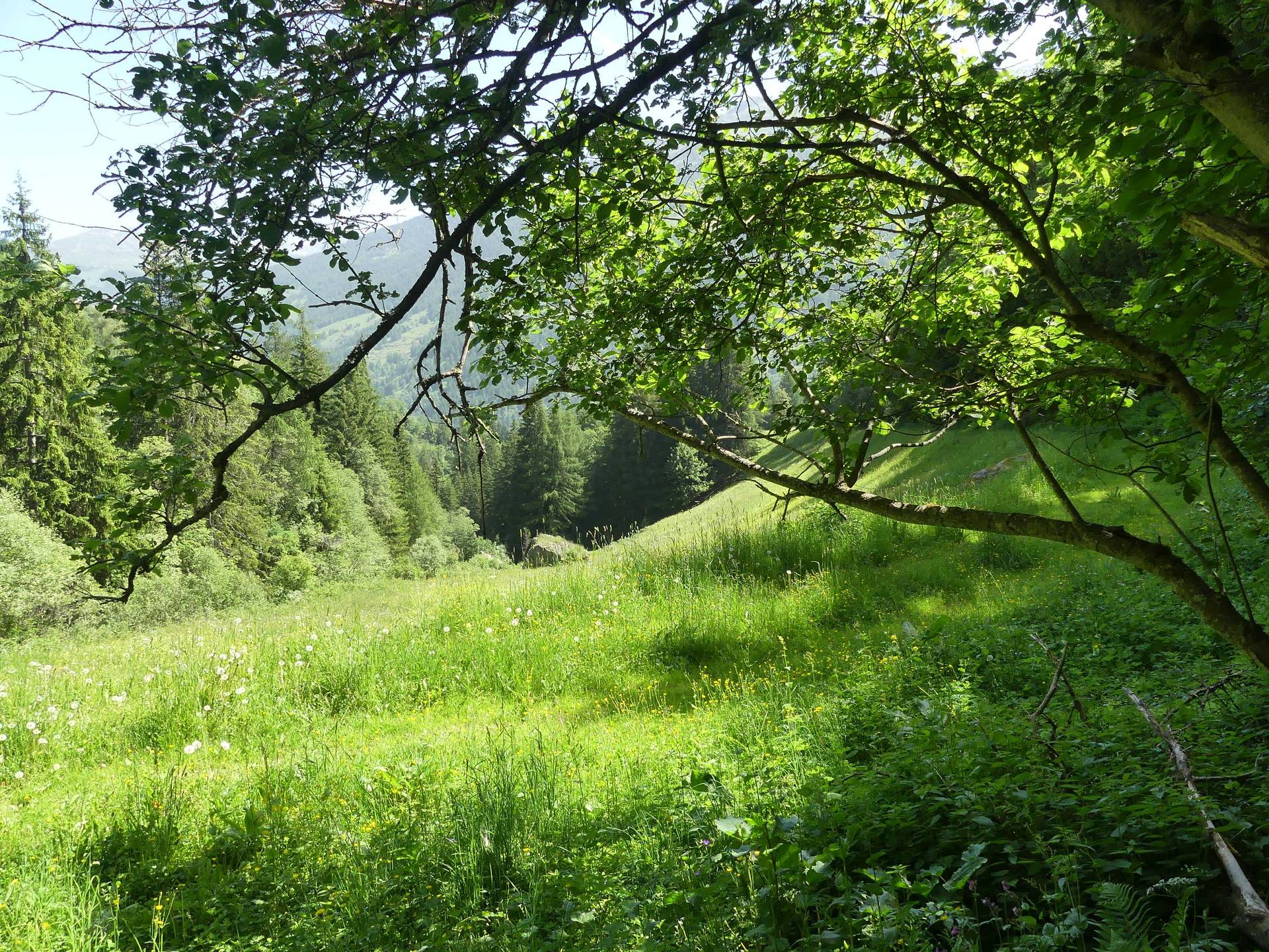 moretta-vissoie-138