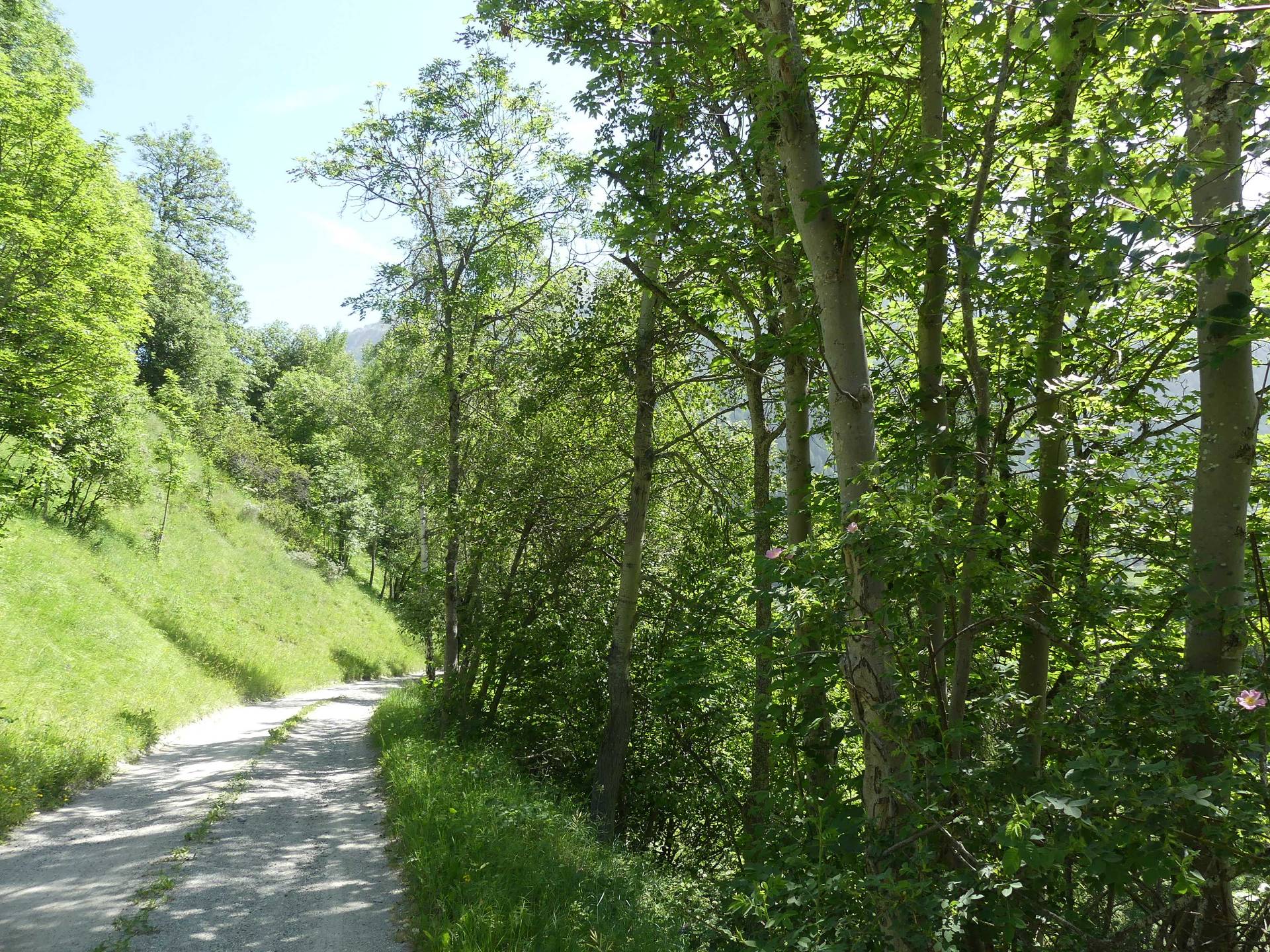 moretta-vissoie-140